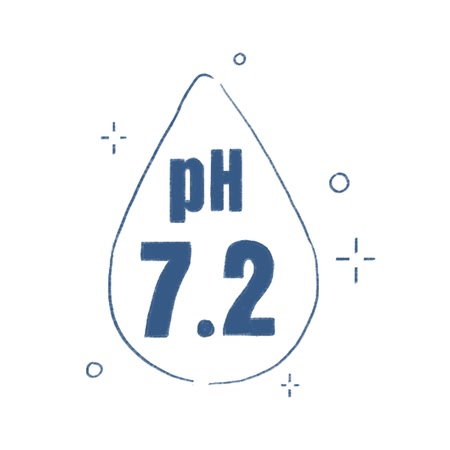 pH 7.2 線稿圖示